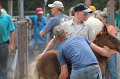 ponypenning12-535