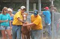 ponypenning12-546
