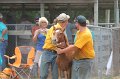 ponypenning12-548