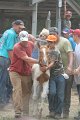 ponypenning12-567