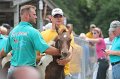 ponypenning12-574