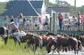 ponypenning12-61