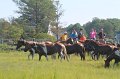 ponypenning12-63