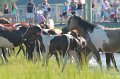 ponypenning12-69