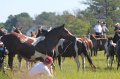 ponypenning12-74