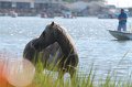 ponypenning12-78