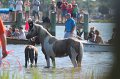 ponypenning12-82