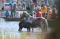 ponypenning12-86