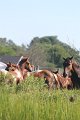 ponypenning12-91
