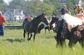 ponypenning12-98